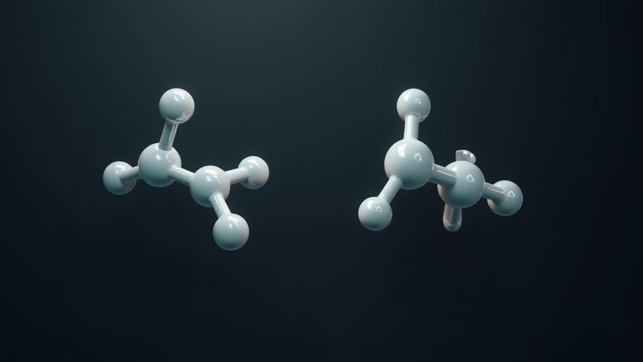 Phenol vs Nonylphenol: Understanding the Key Differences
